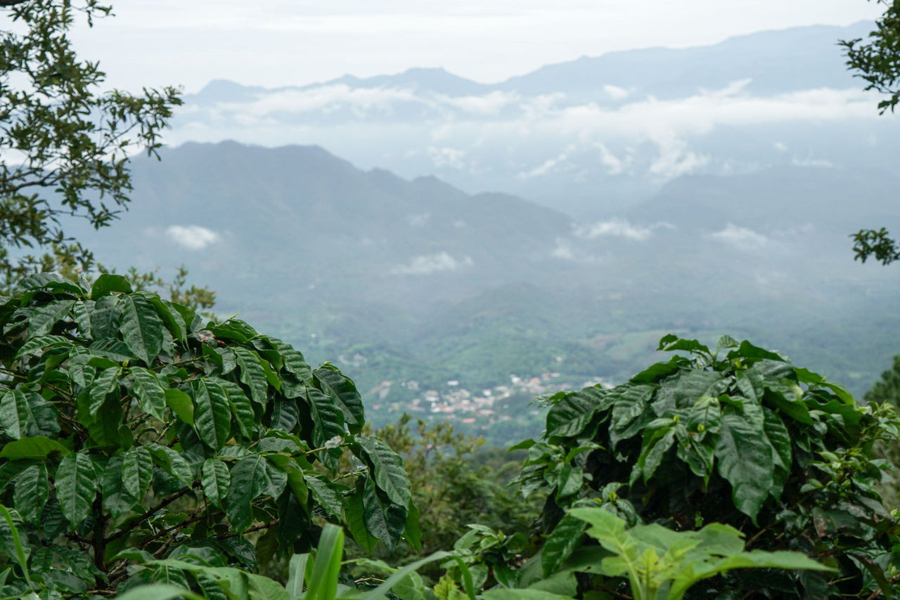Redhawk Coffee Roasters farmers El Salvador with Cafe Imports, beautiful landscape with clouds and small village.