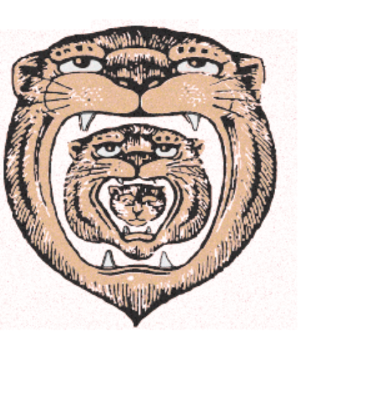 Redhawk Coffee Roasters tiger with tiger and tiger cub in mouths