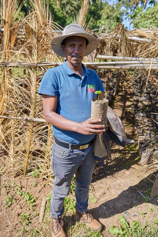 Ethiopia Tega and Tula Farm Zingaj Sublot