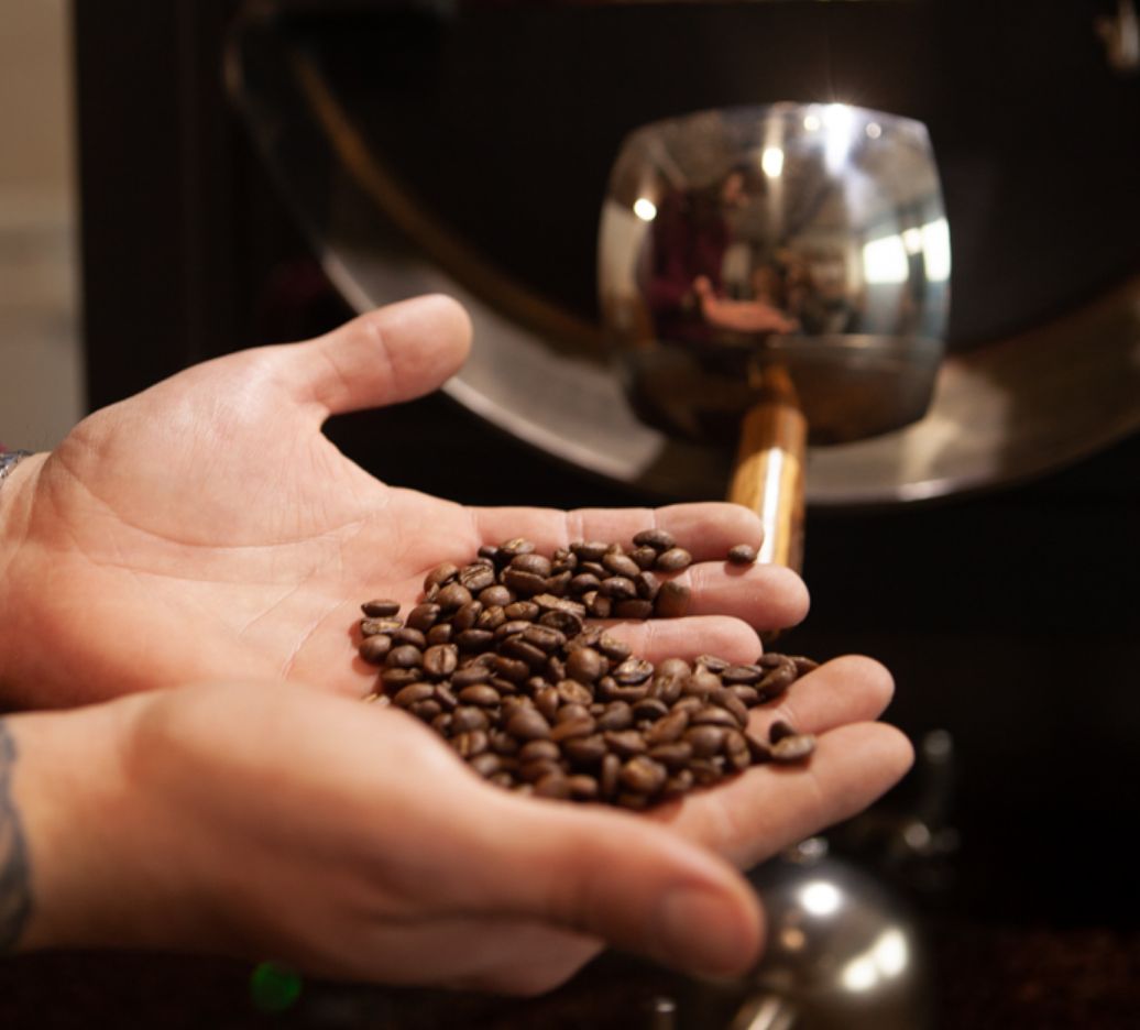 Coffee beans in hands fresh from the roaster at Redhawk Coffee Roasters.