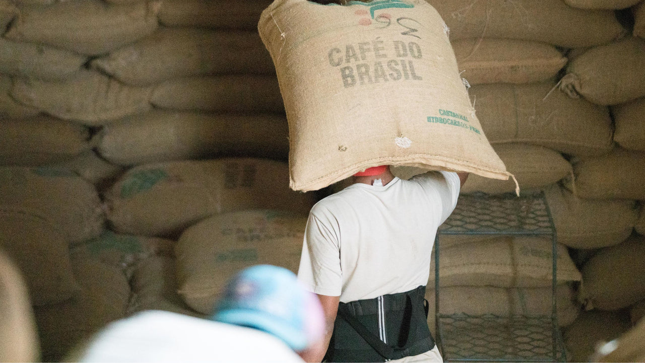 Redhawk Coffee Subscription - Three Months