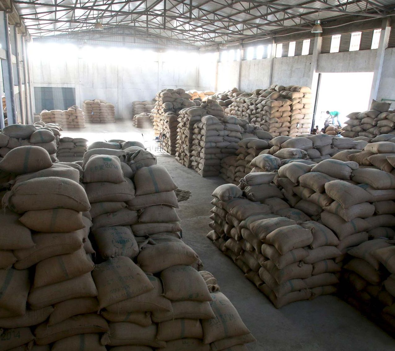 Warehouse of burlap coffee bags at coffee farm with golden rays of sunshine.